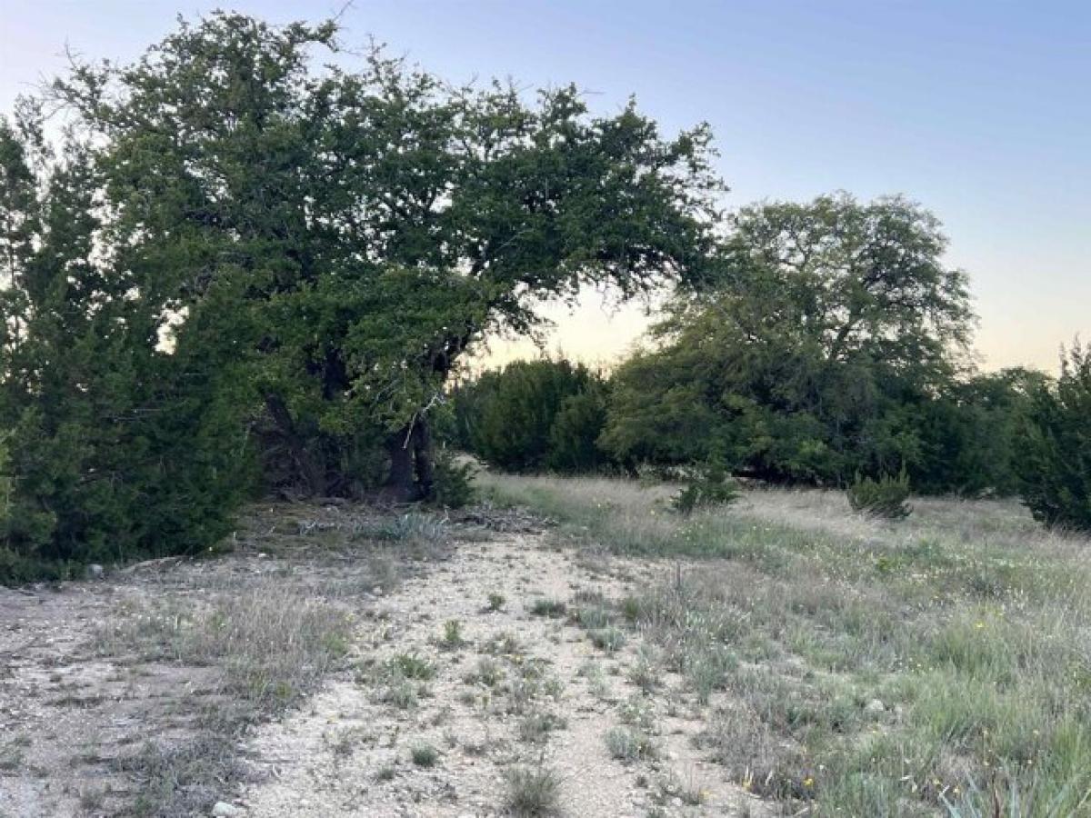 Picture of Residential Land For Sale in Lometa, Texas, United States