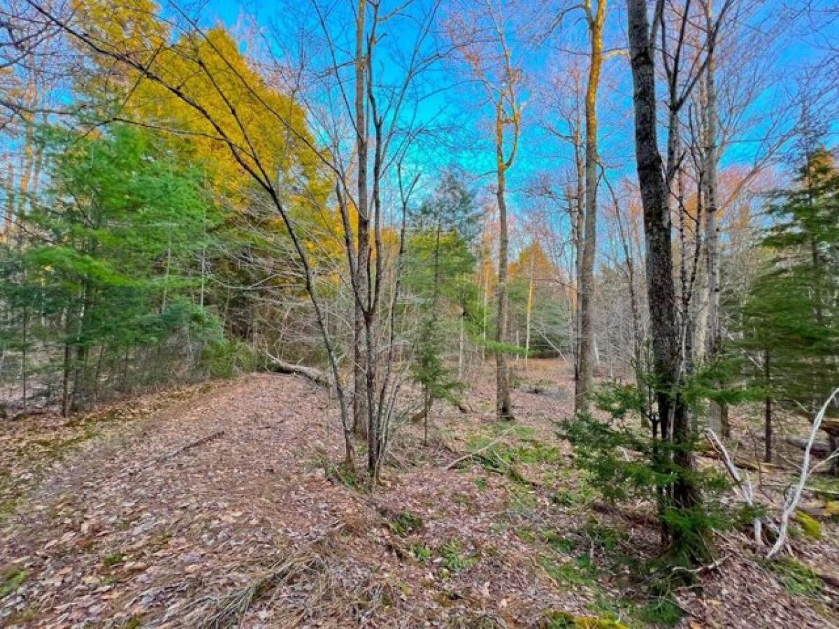 Picture of Residential Land For Sale in Waitsfield, Vermont, United States