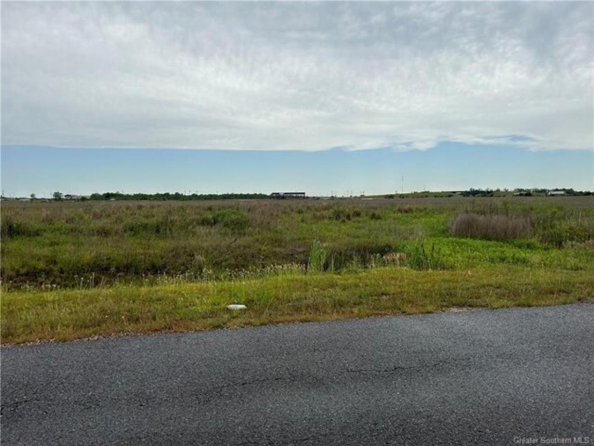 Picture of Residential Land For Sale in Lacassine, Louisiana, United States