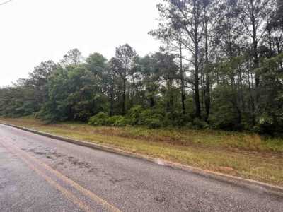 Residential Land For Sale in Red Level, Alabama