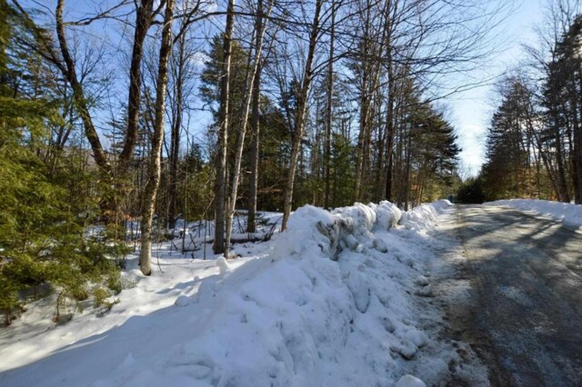 Picture of Residential Land For Sale in Mount Holly, Vermont, United States