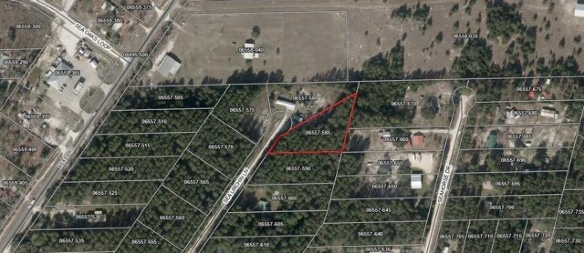 Picture of Residential Land For Sale in Perry, Florida, United States