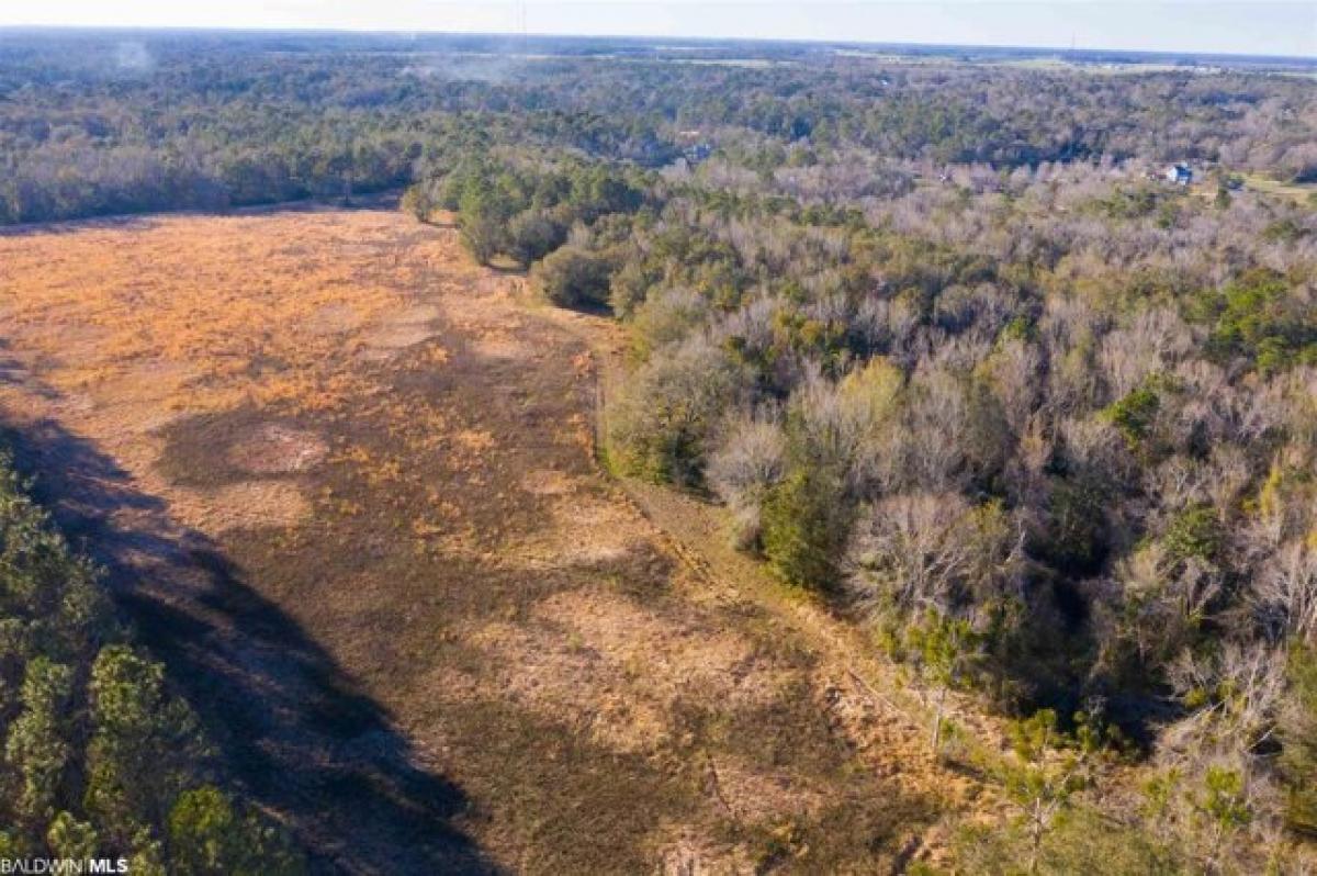 Picture of Residential Land For Sale in Magnolia Springs, Alabama, United States