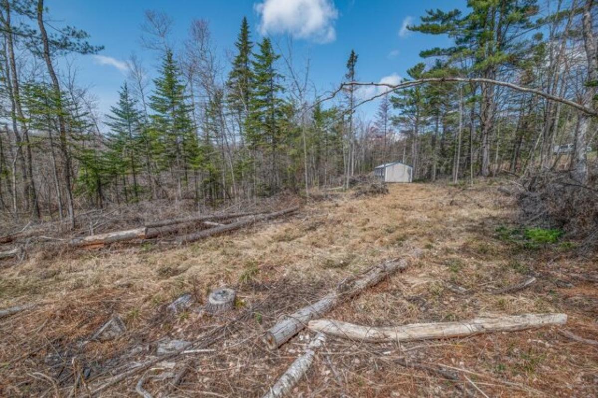 Picture of Residential Land For Sale in Fairfield, Maine, United States