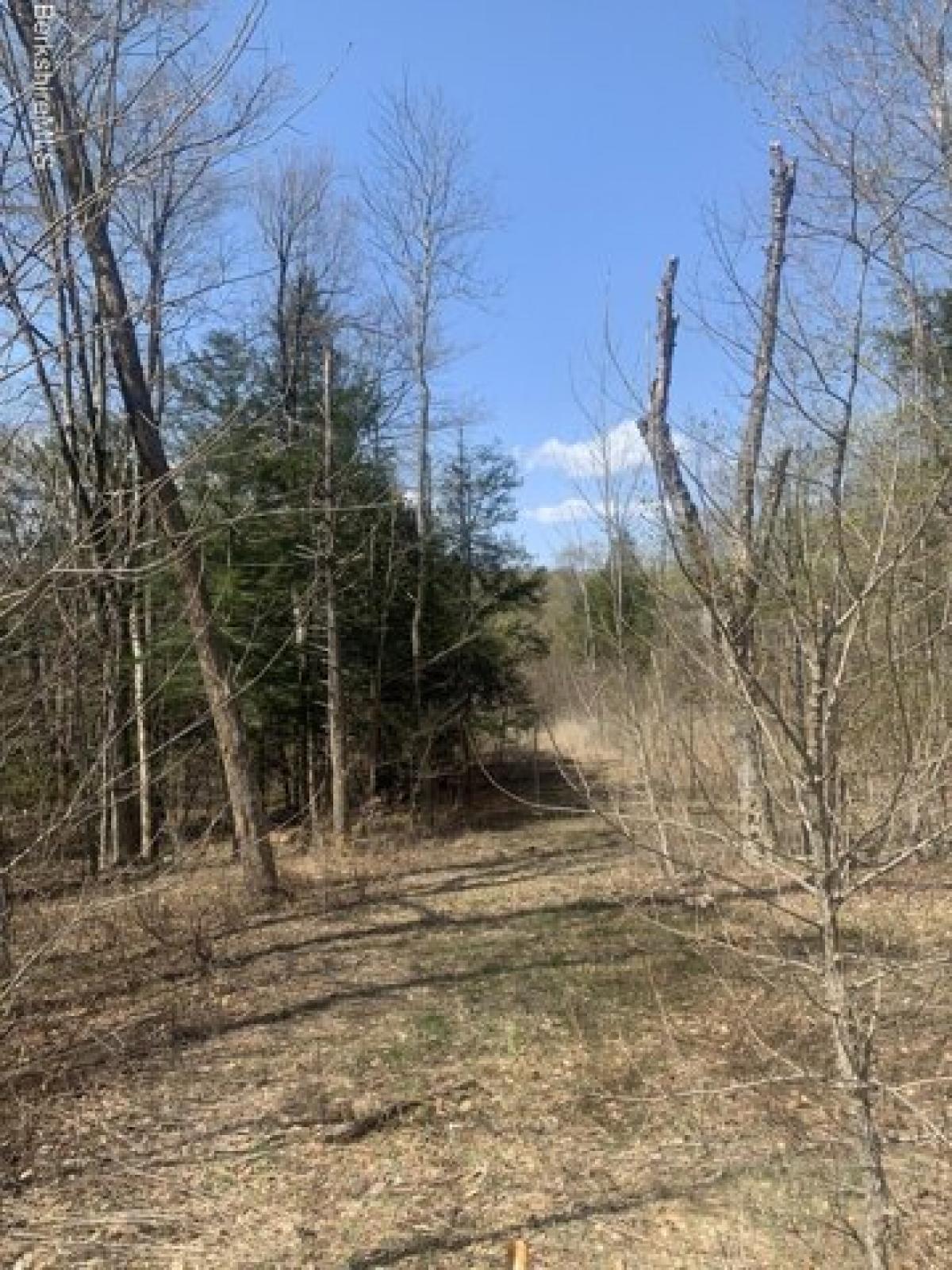 Picture of Residential Land For Sale in Becket, Massachusetts, United States