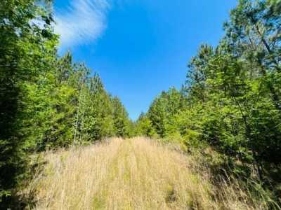 Residential Land For Sale in Utica, Mississippi