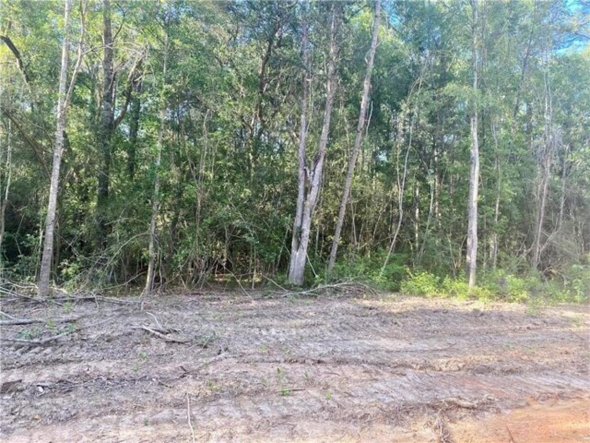 Picture of Residential Land For Sale in Folsom, Louisiana, United States