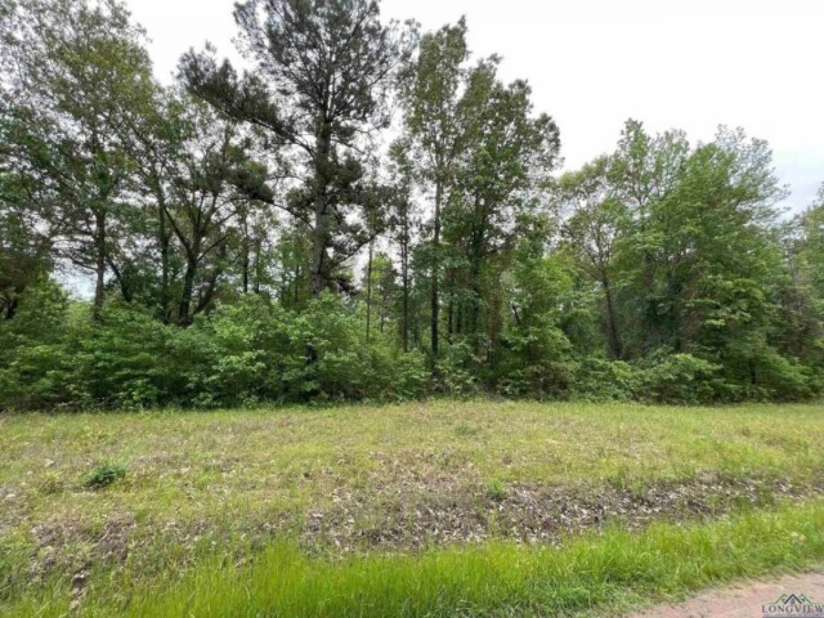 Picture of Residential Land For Sale in Hallsville, Texas, United States