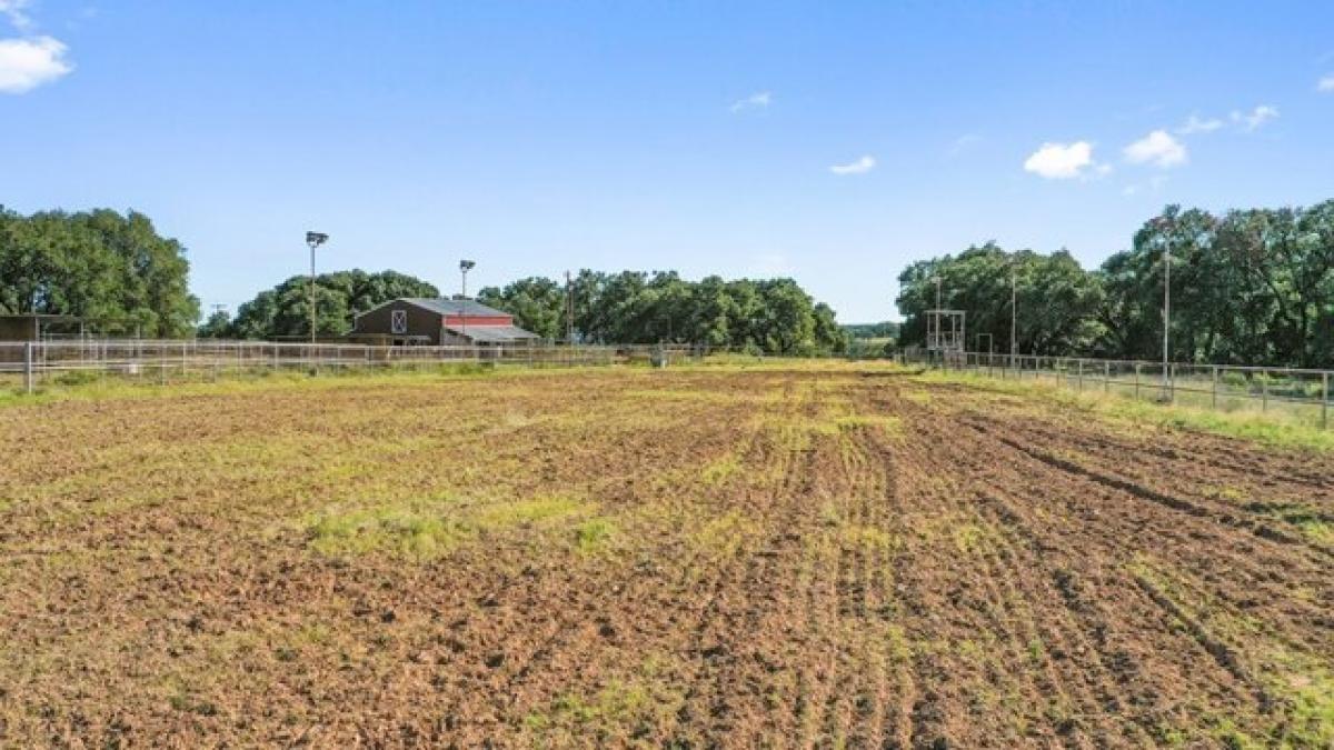 Picture of Residential Land For Sale in Blanco, Texas, United States