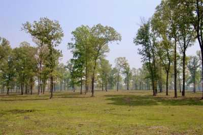 Residential Land For Sale in Marshall, Texas