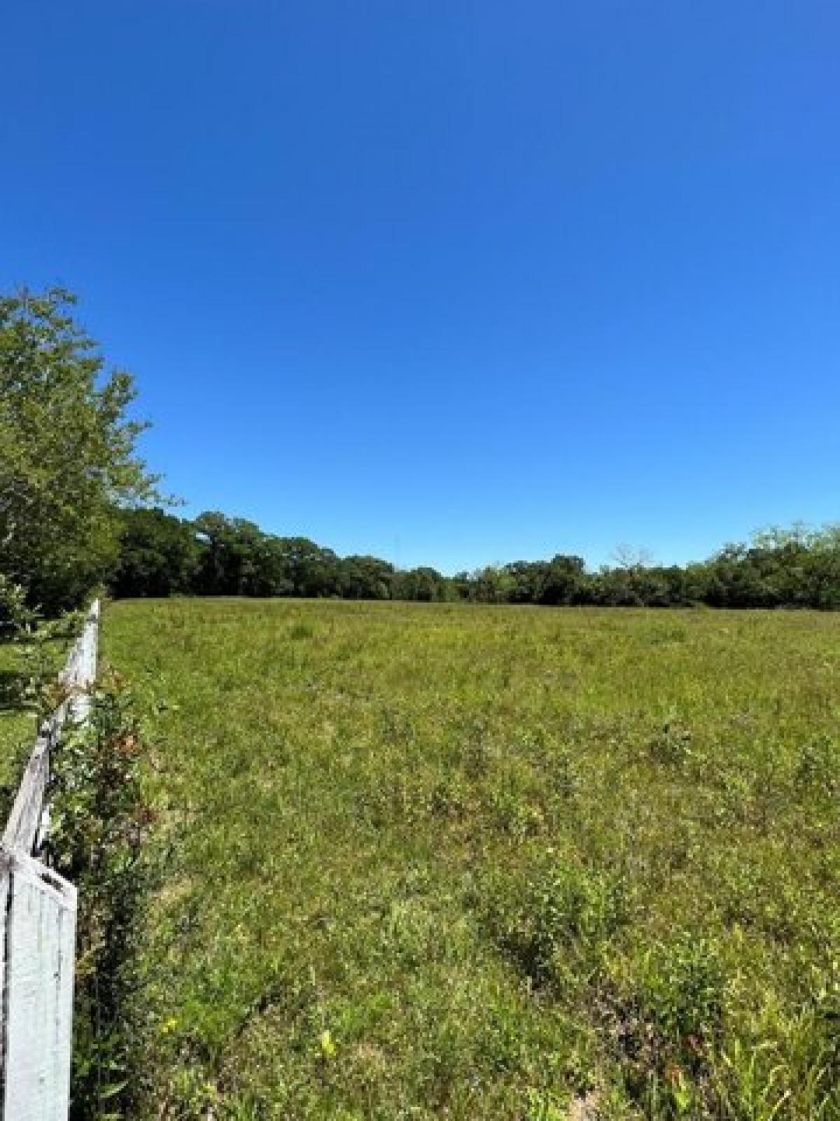 Picture of Residential Land For Sale in Centreville, Mississippi, United States