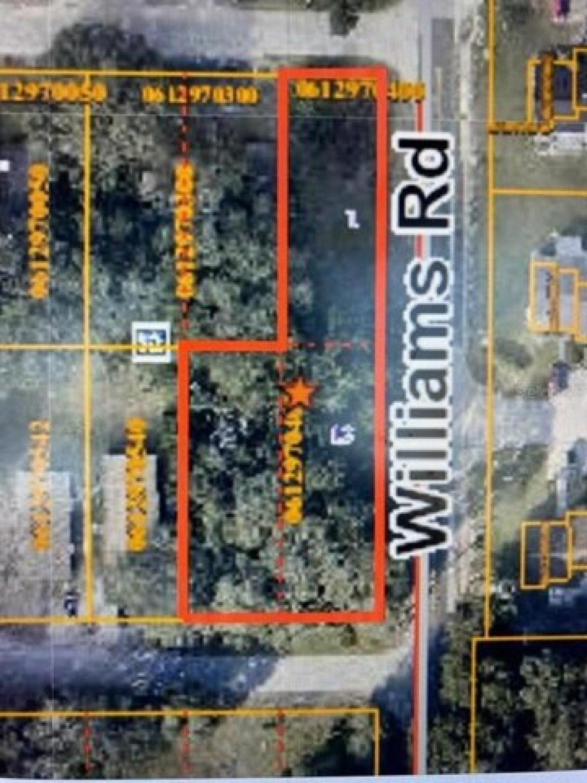 Picture of Residential Land For Sale in Thonotosassa, Florida, United States