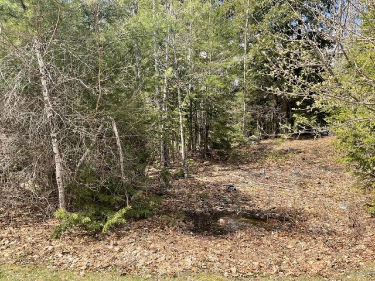 Picture of Residential Land For Sale in Acton, Maine, United States