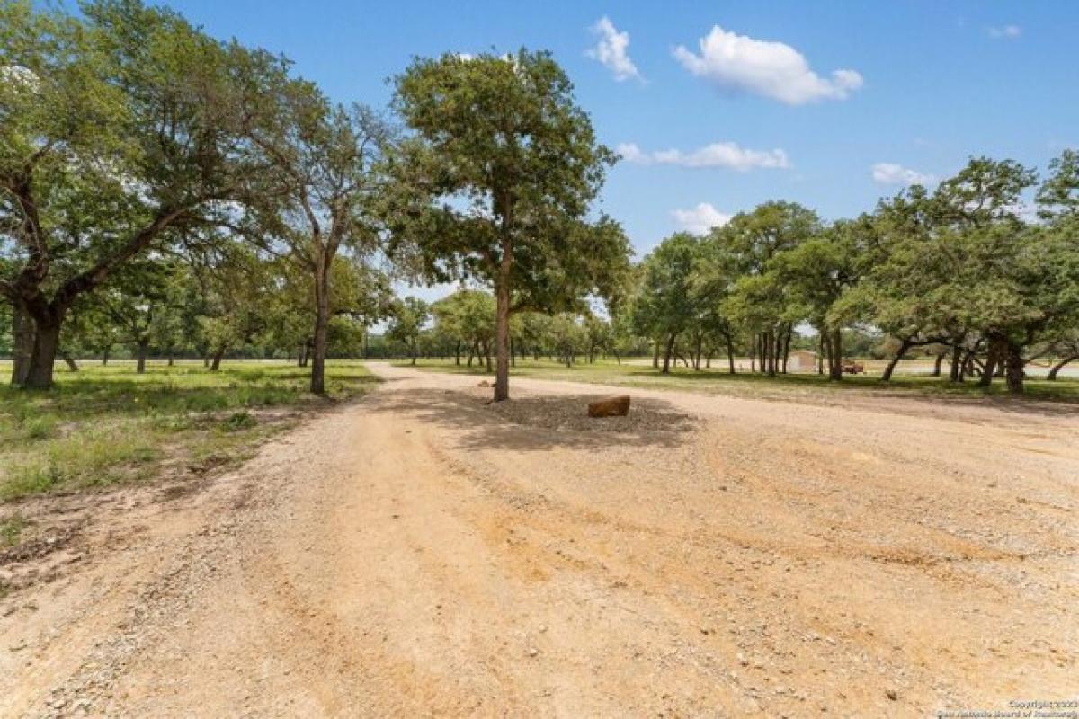 Picture of Residential Land For Sale in Stockdale, Texas, United States