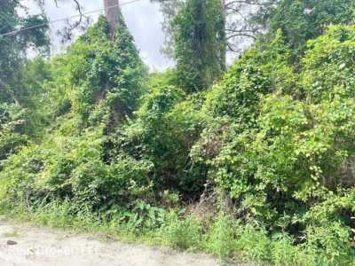 Residential Land For Sale in 