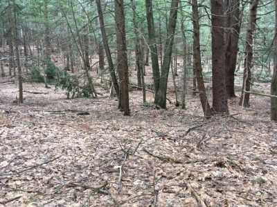 Residential Land For Sale in Westminster, Vermont