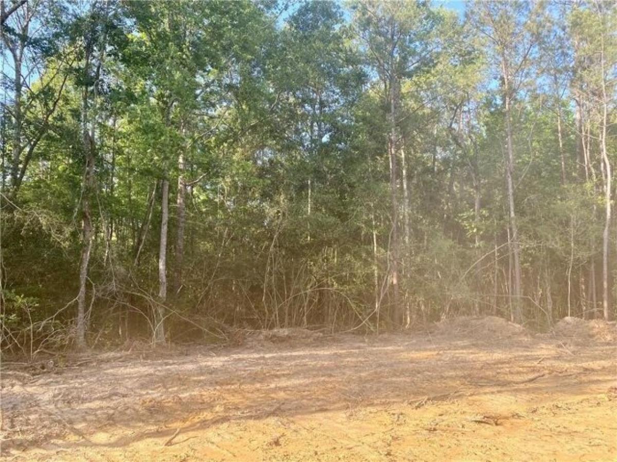 Picture of Residential Land For Sale in Folsom, Louisiana, United States