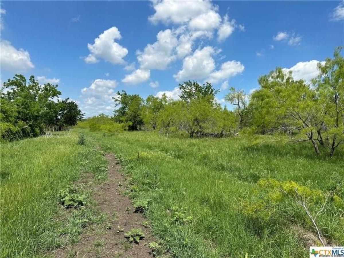 Picture of Residential Land For Sale in Salado, Texas, United States