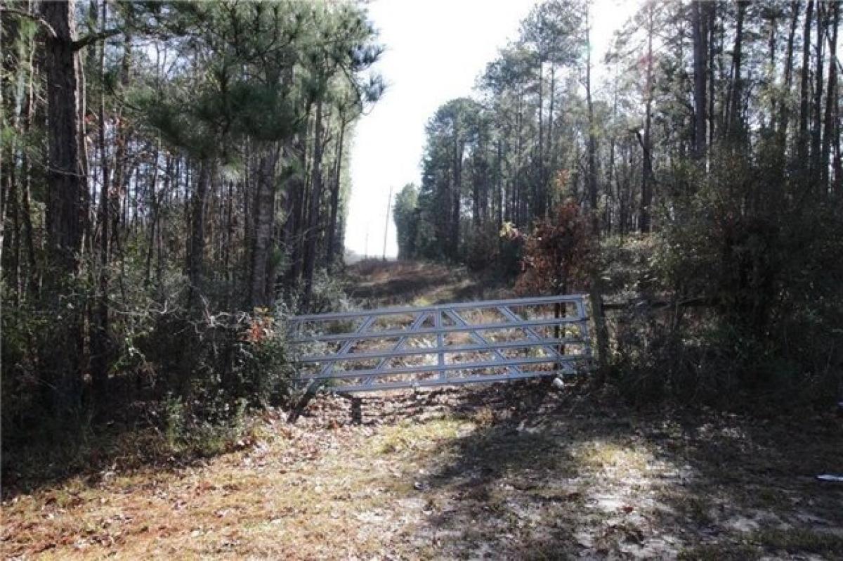 Picture of Residential Land For Sale in Pineville, Louisiana, United States