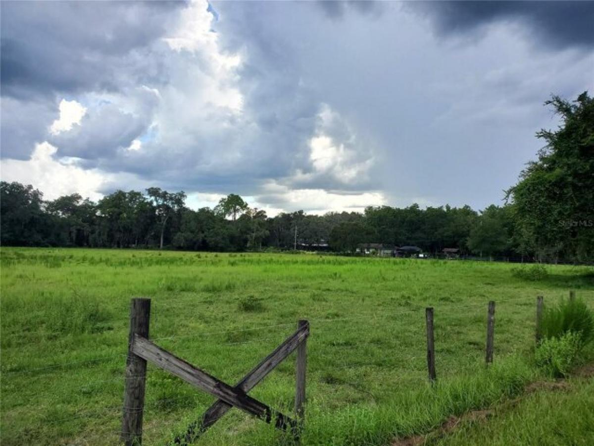 Picture of Residential Land For Sale in Thonotosassa, Florida, United States