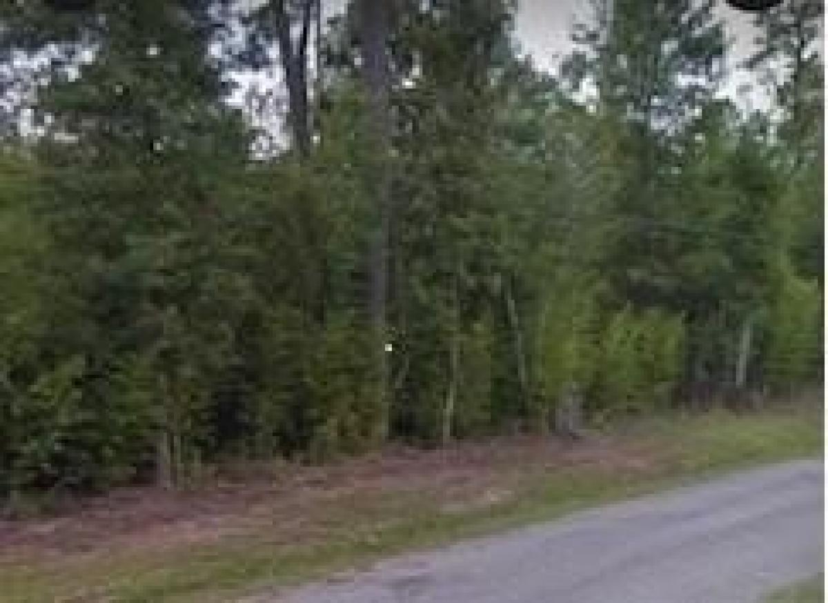 Picture of Residential Land For Sale in Kiln, Mississippi, United States