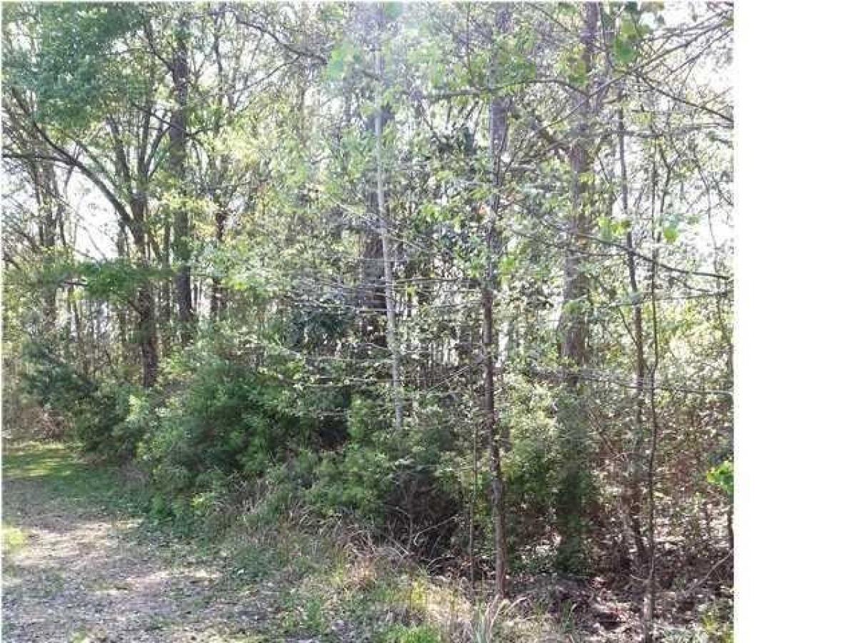 Picture of Residential Land For Sale in Coden, Alabama, United States