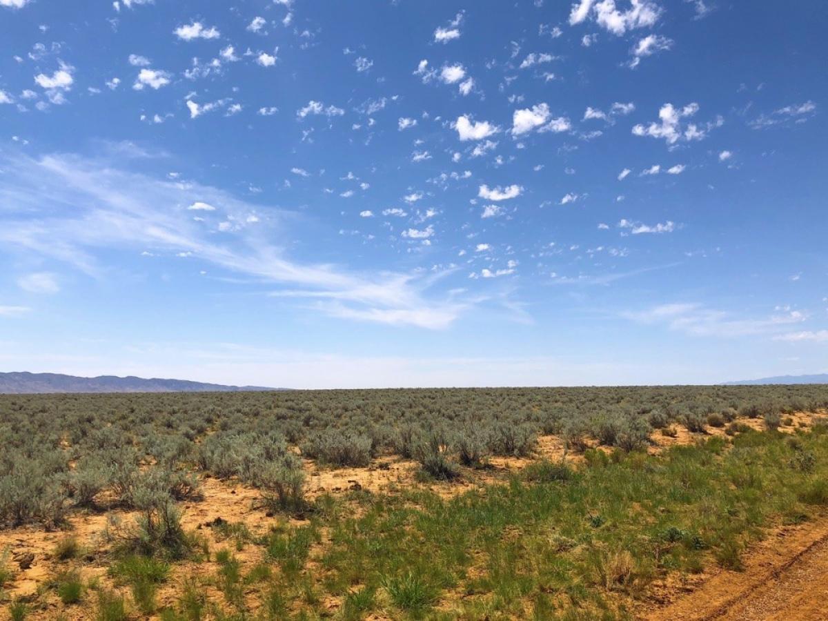 Picture of Residential Land For Sale in Belen, New Mexico, United States