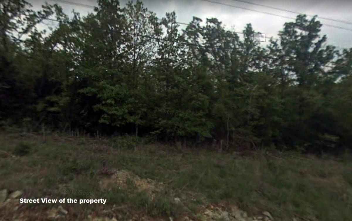 Picture of Residential Land For Sale in Horseshoe Bend, Arkansas, United States