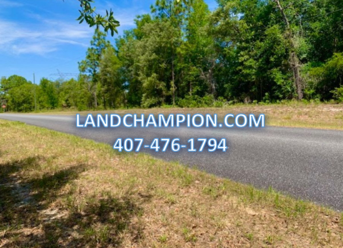 Picture of Residential Land For Sale in Citrus Springs, Florida, United States