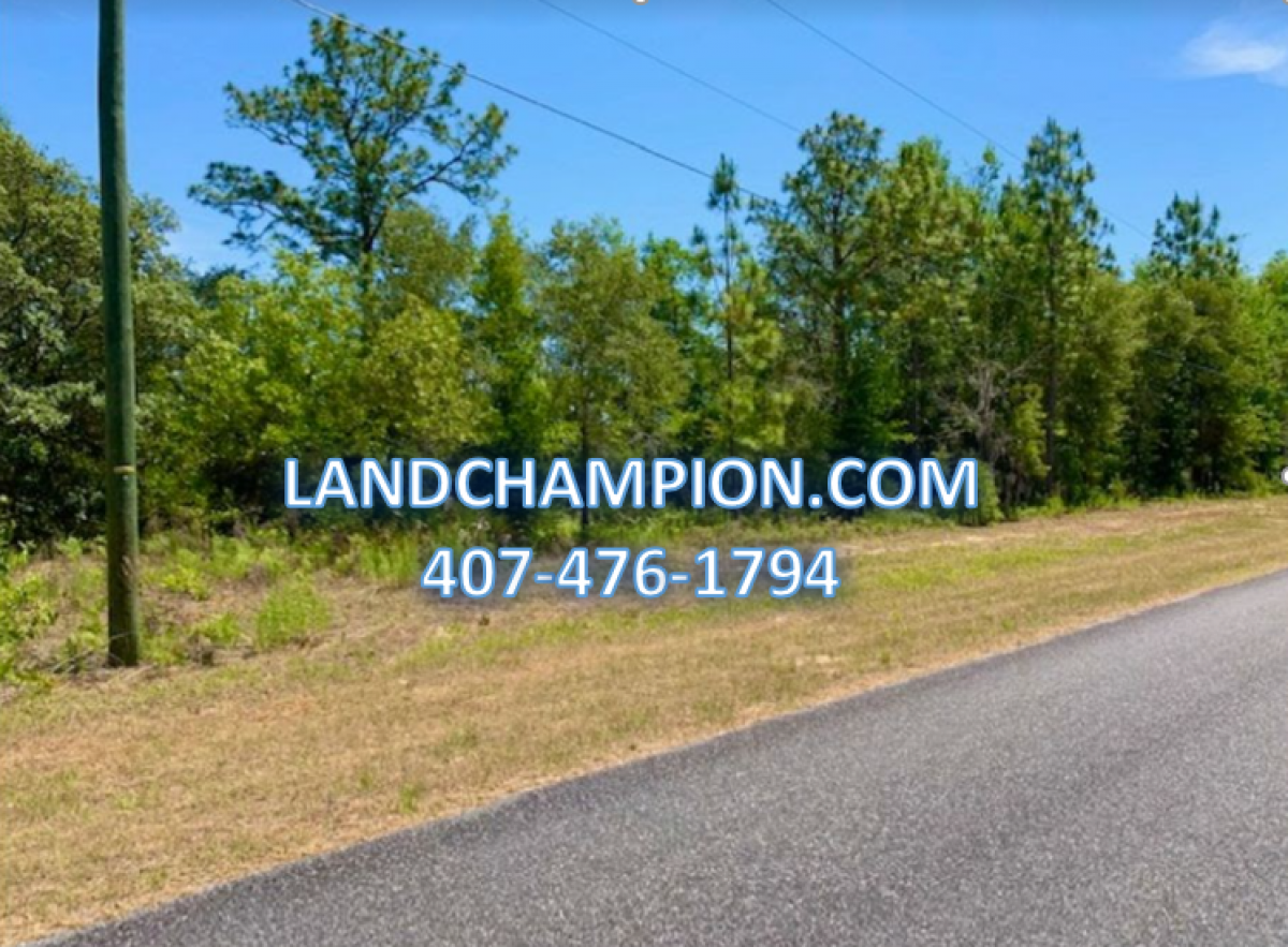 Picture of Residential Land For Sale in Citrus Springs, Florida, United States