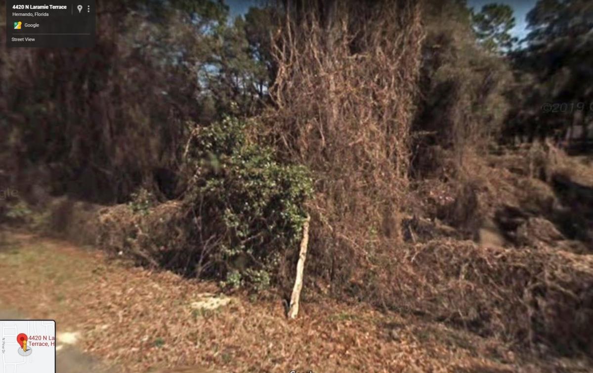 Picture of Residential Land For Sale in Hernando, Florida, United States