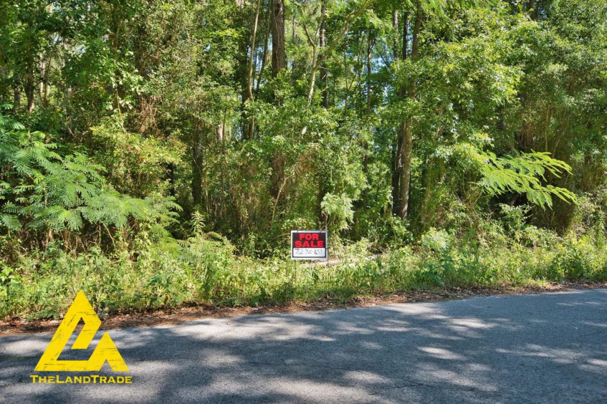 Picture of Residential Land For Sale in Lake City, Florida, United States