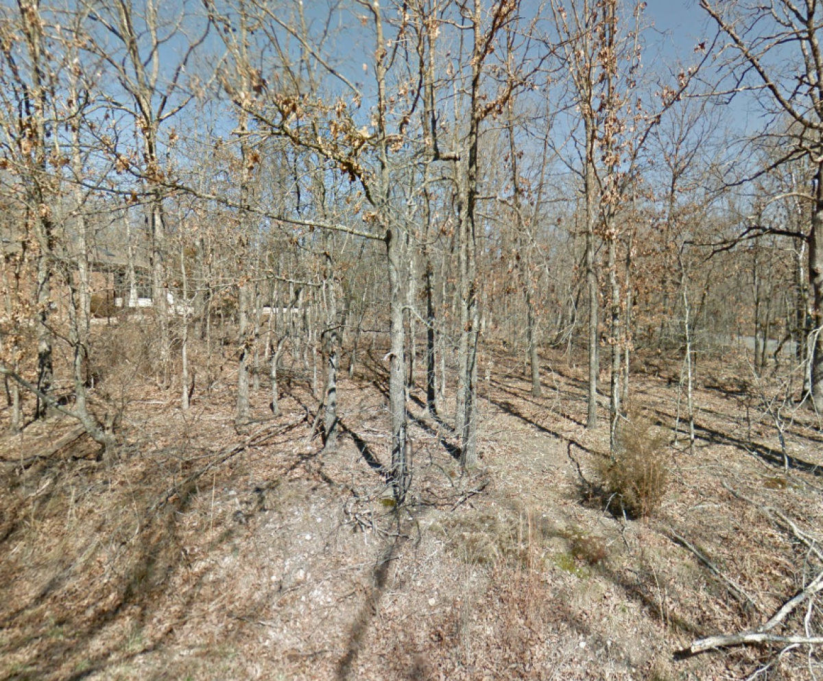 Picture of Residential Land For Sale in Bella Vista, Arkansas, United States