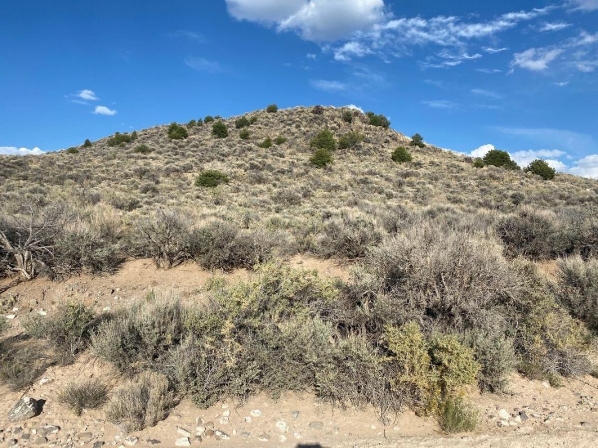 Picture of Residential Land For Sale in Sanford, Colorado, United States