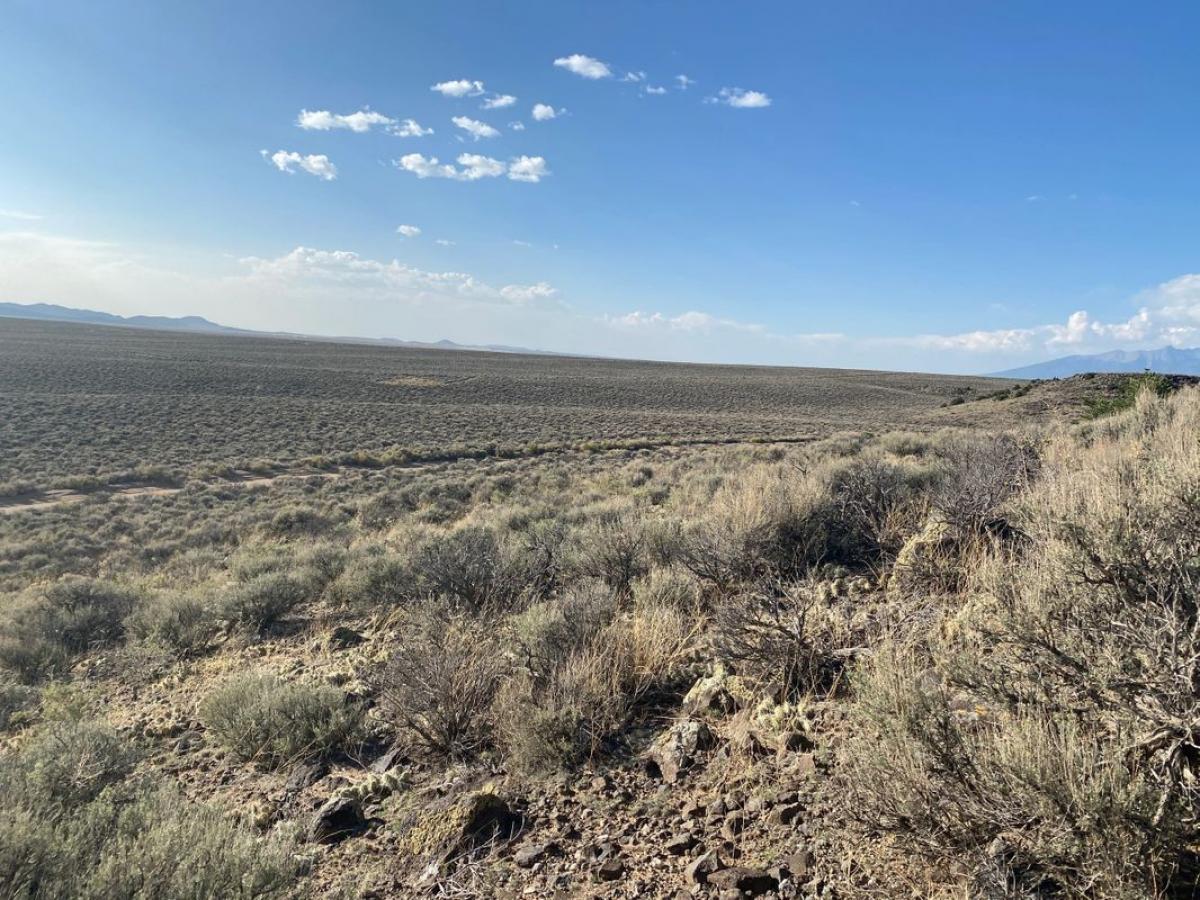 Picture of Residential Land For Sale in Sanford, Colorado, United States