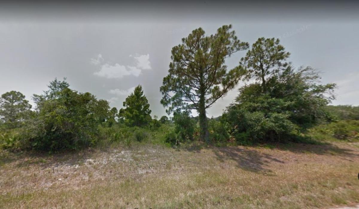 Picture of Residential Land For Sale in Lake Placid, Florida, United States