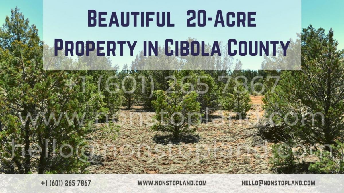 Picture of Residential Land For Sale in Grants, New Mexico, United States