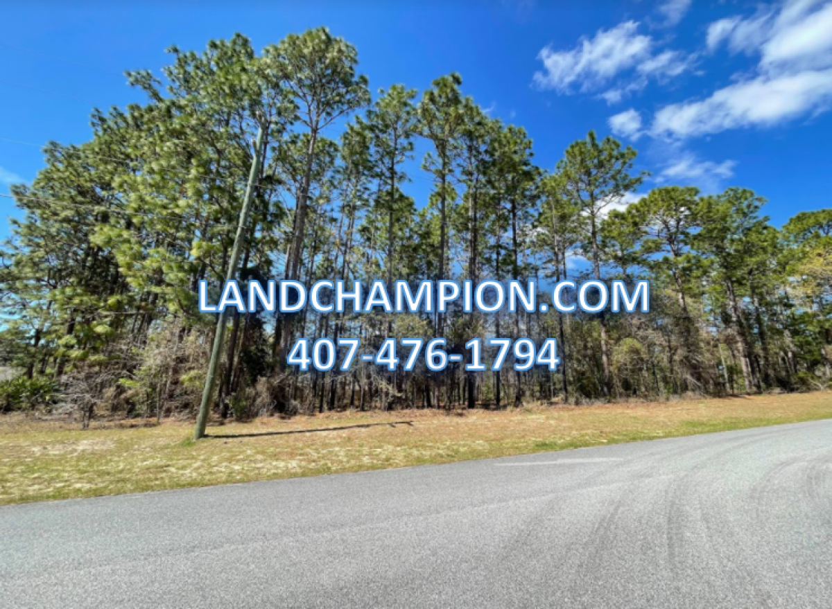 Picture of Residential Land For Sale in Citrus Springs, Florida, United States