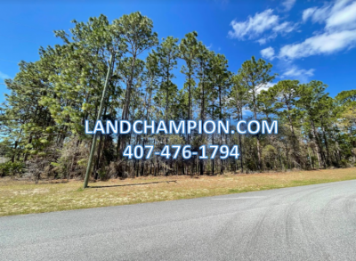 Residential Land For Sale in Citrus Springs, Florida