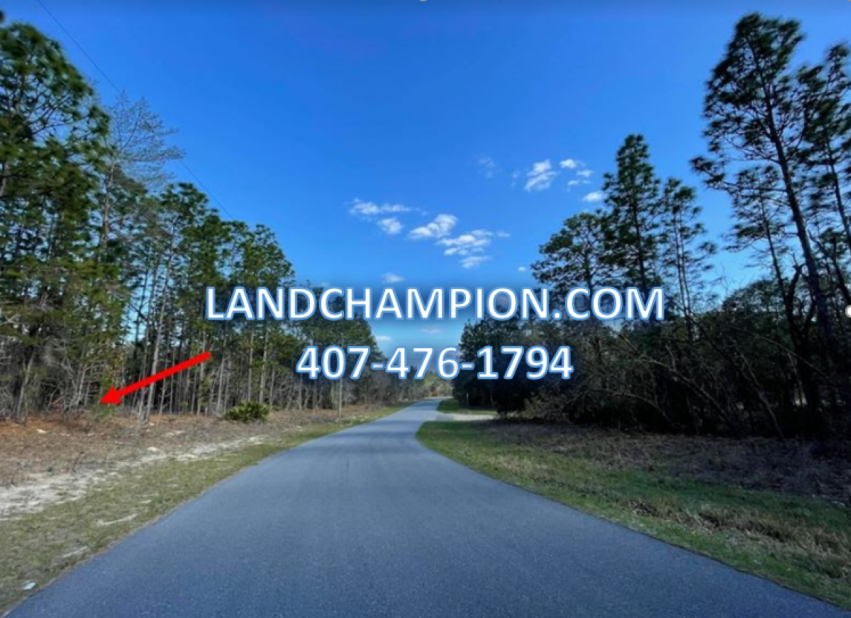 Picture of Residential Land For Sale in Citrus Springs, Florida, United States