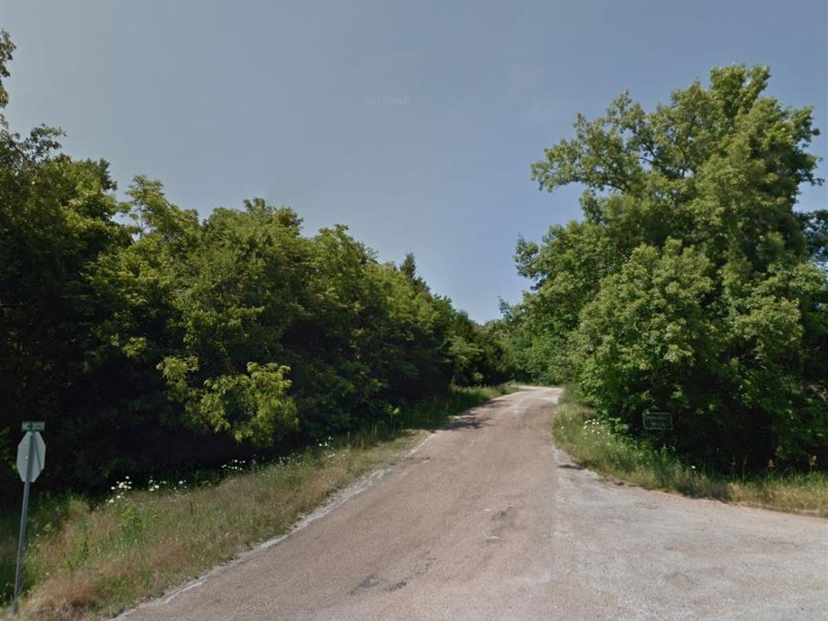 Picture of Residential Land For Sale in Diamond City, Arkansas, United States