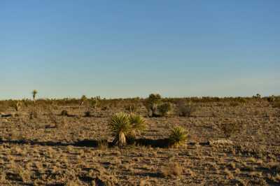 Residential Land For Sale in Pecos, Texas