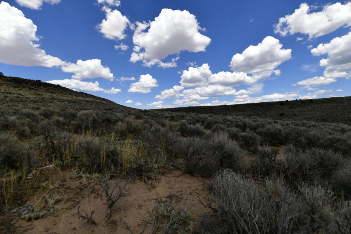 Picture of Residential Land For Sale in San Luis, Colorado, United States