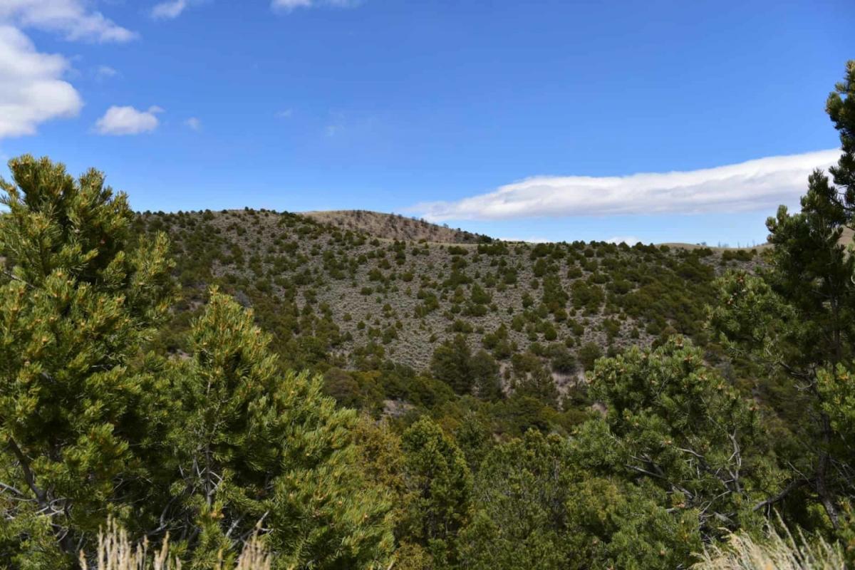 Picture of Residential Land For Sale in Fort Garland, Colorado, United States