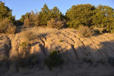 Residential Land For Sale in San Luis, Colorado