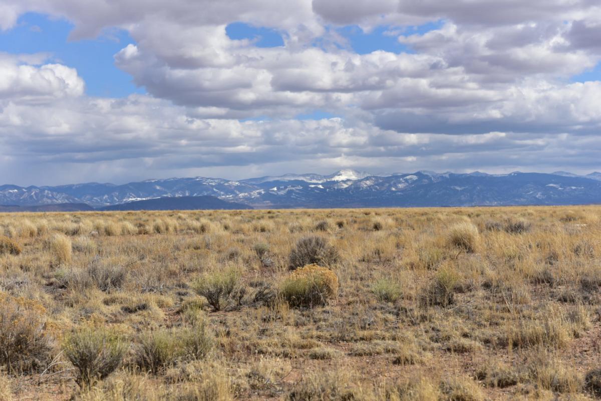 Picture of Residential Land For Sale in Blanca, Colorado, United States