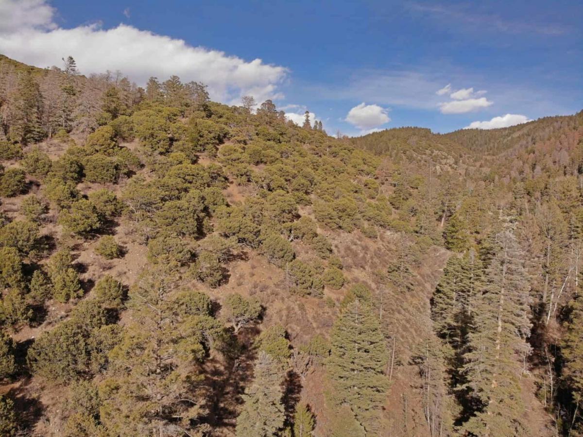 Picture of Residential Land For Sale in San Luis, Colorado, United States