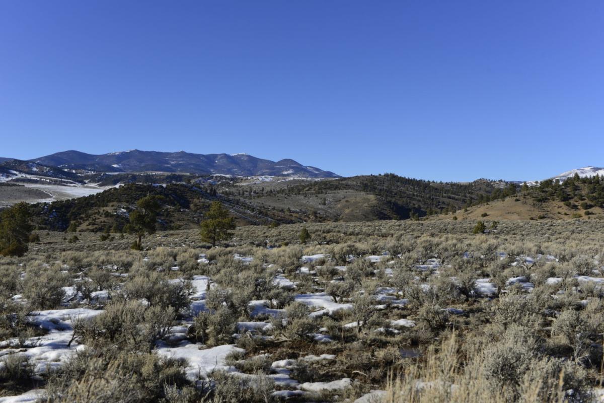 Picture of Residential Land For Sale in San Luis, Colorado, United States