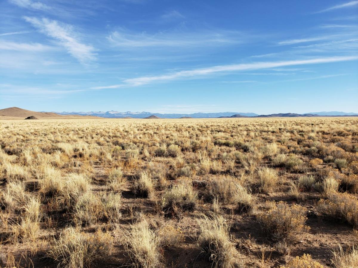 Picture of Residential Land For Sale in Blanca, Colorado, United States