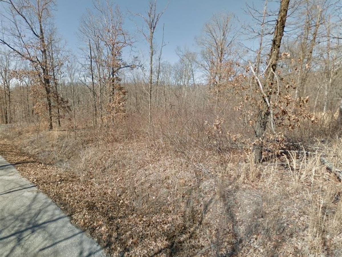 Picture of Residential Land For Sale in Bella Vista, Arkansas, United States